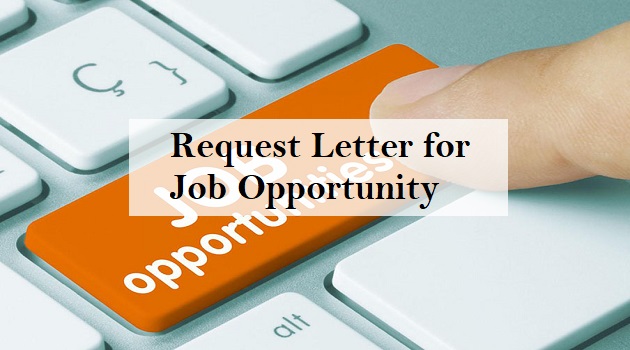 request letter for job opportunity